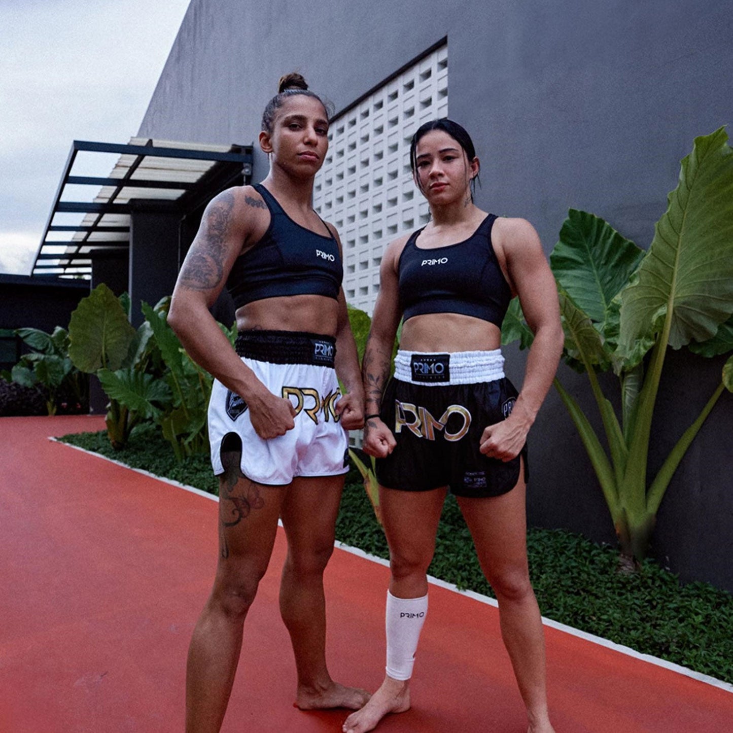 Primo Sports Bra - Air - Black